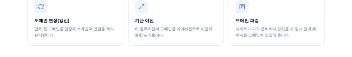 아이비전트 도메인 관리 화면의 도메인 연장, 기관 이전, 도메인 파킹 카드