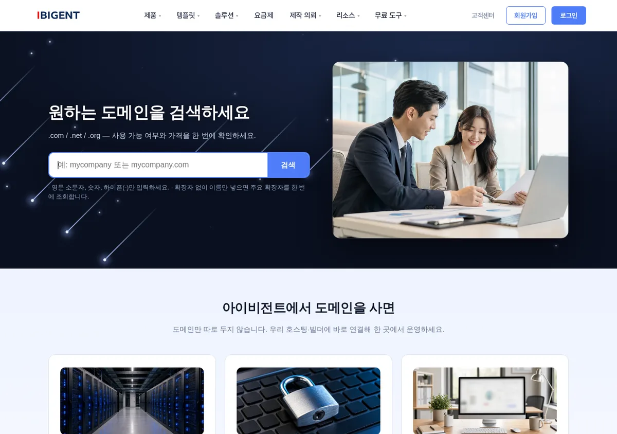 아이비전트 도메인 검색·등록 화면
